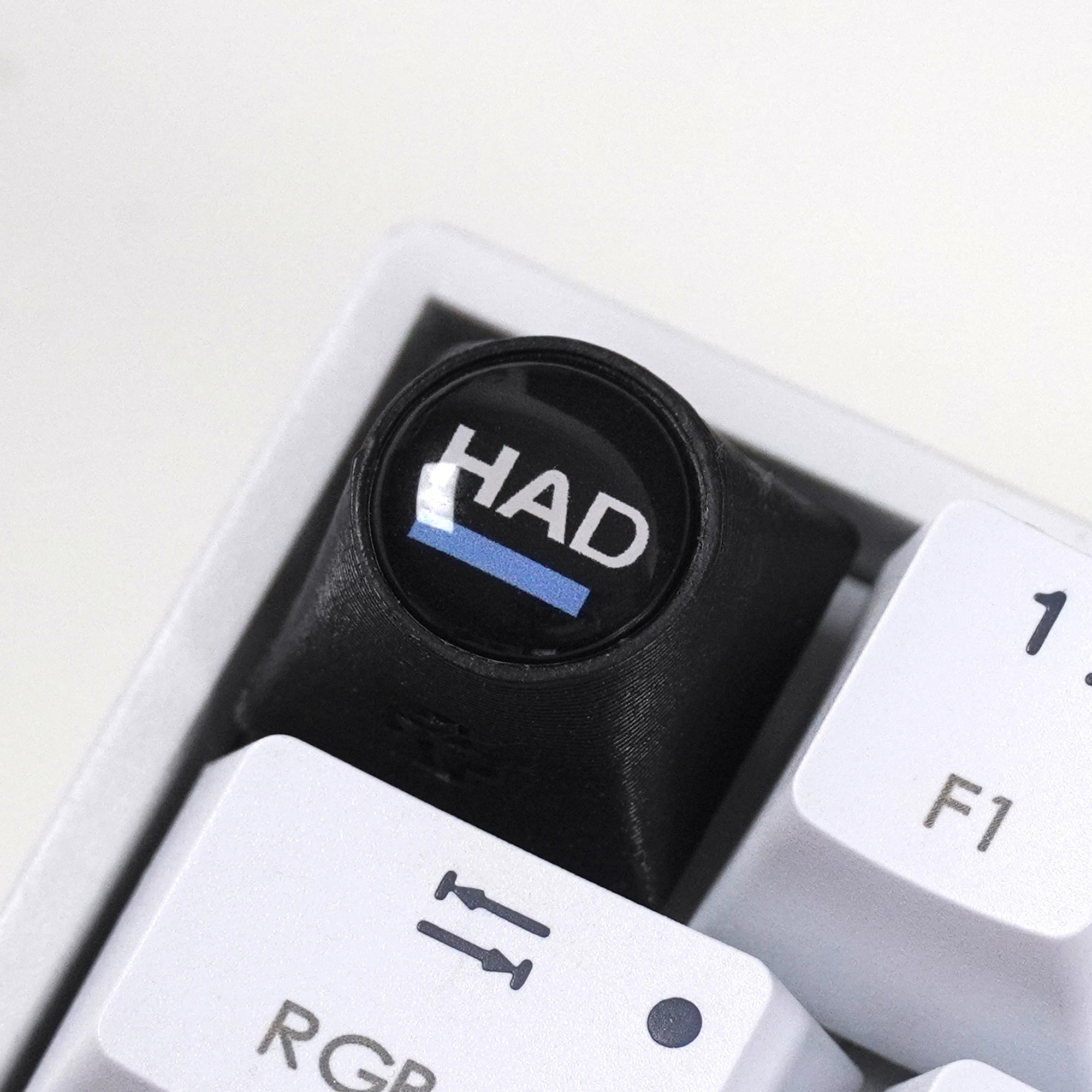 Artisan F1 – PILOTS